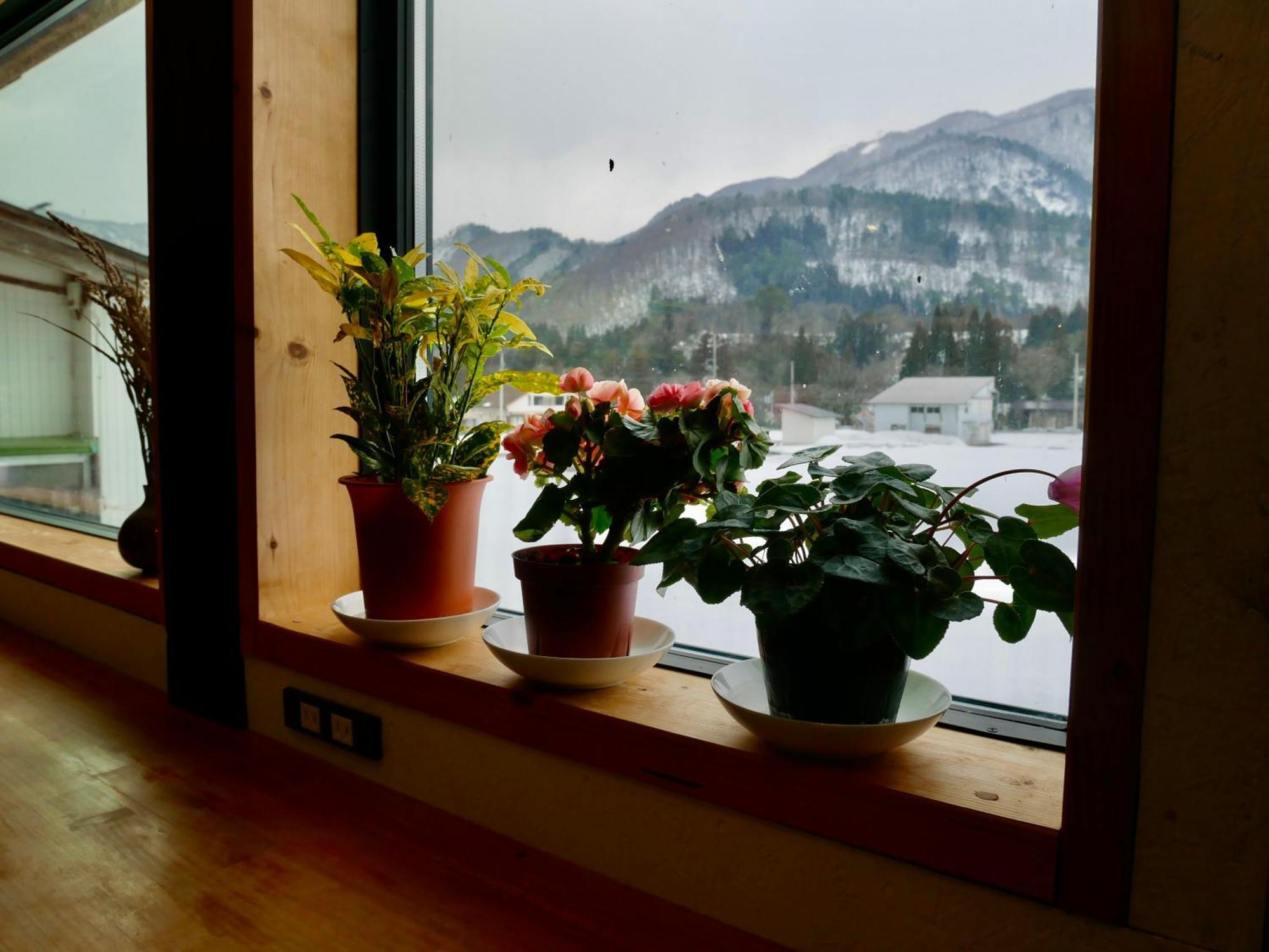 Guesthouse Shirakawa-Go Inn Exterior photo
